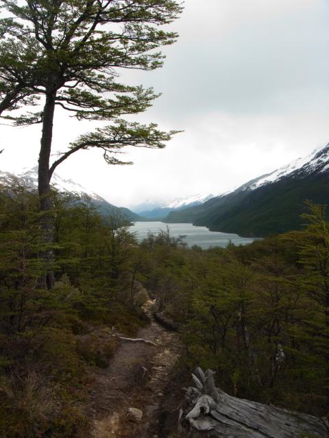 Argetina: Trail across the border to Lago del Desierto