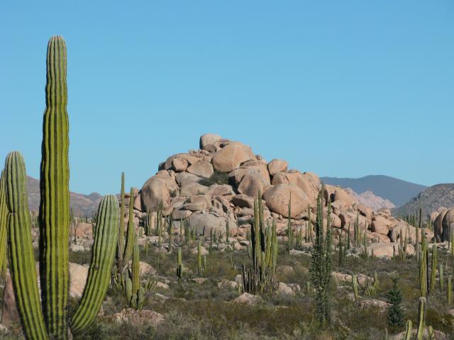 Catavina boulder fields