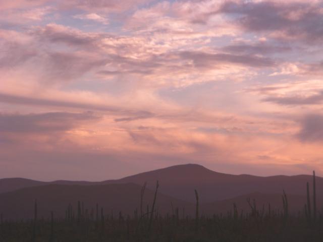 Punta Prieta