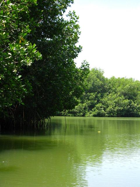 Touring one of the many coastal lagoons