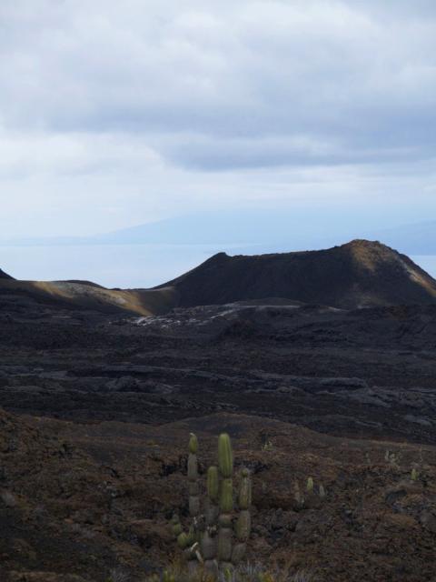 Galapagos: Volcan Chico