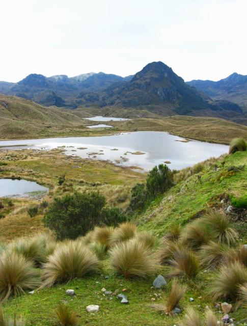 Ecuador El Cajas park near Loja