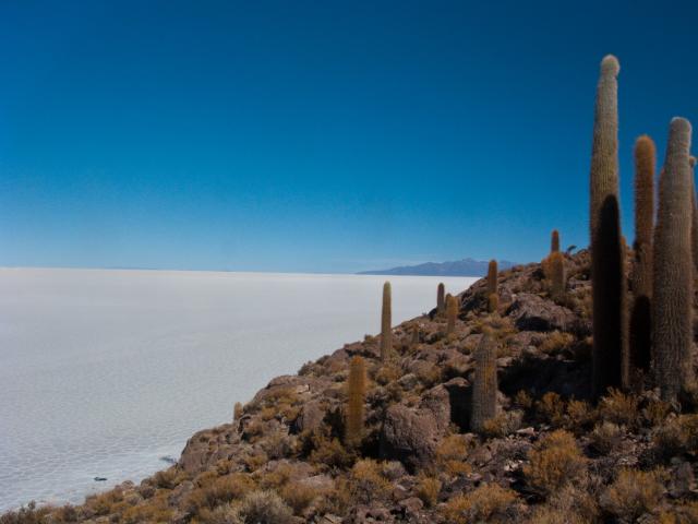 Incawasi, Salar de Uyuni