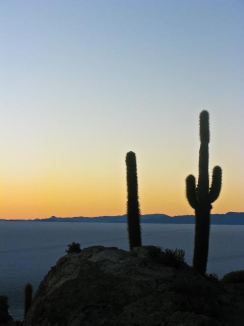 Incawasi, Salar de Uyuni